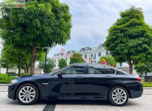 Xe BMW 5 Series 520i 2016