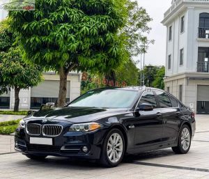 Xe BMW 5 Series 520i 2016