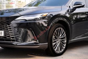 Xe Lexus RX 350h Luxury 2025