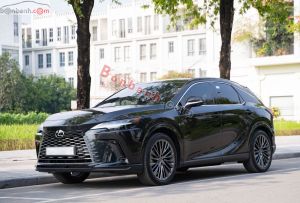 Xe Lexus RX 350h Luxury 2025