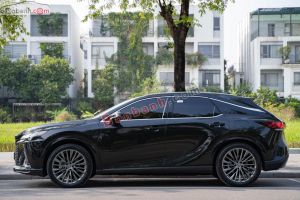 Xe Lexus RX 350h Luxury 2025