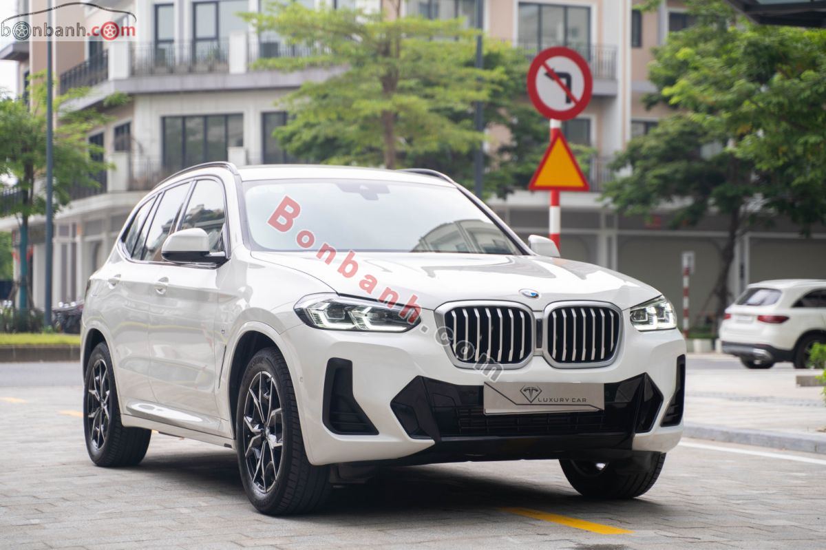 X3 sDrive20i M Sport